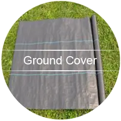 ground cover