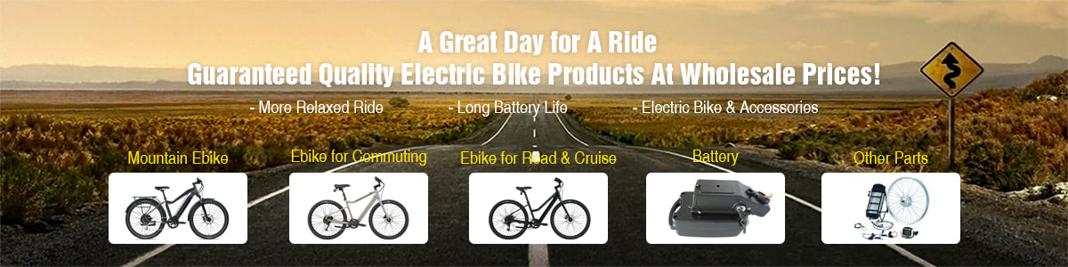 Electric Bike